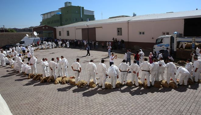 /resimler/2016-7/27/1613093171453.jpg /resimler/2016-7/27/1613093171453.jpg