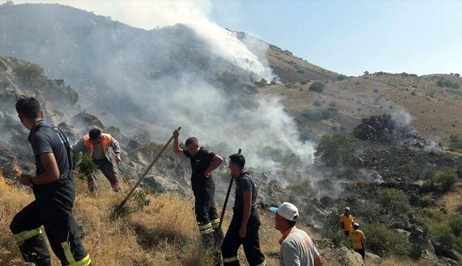 /resimler/2017-7/26/1732289109298.jpg /resimler/2017-7/26/1732289109298.jpg