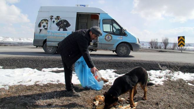 Bünyan Belediyesi sokak hayvanlarını unutmadı