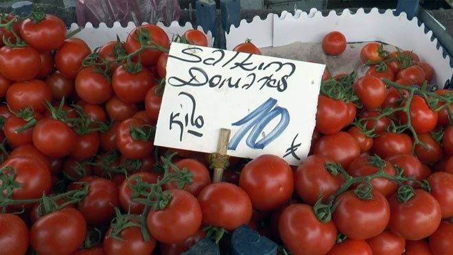 Rusya domatesi ithal edemedi, fiyatı düştü