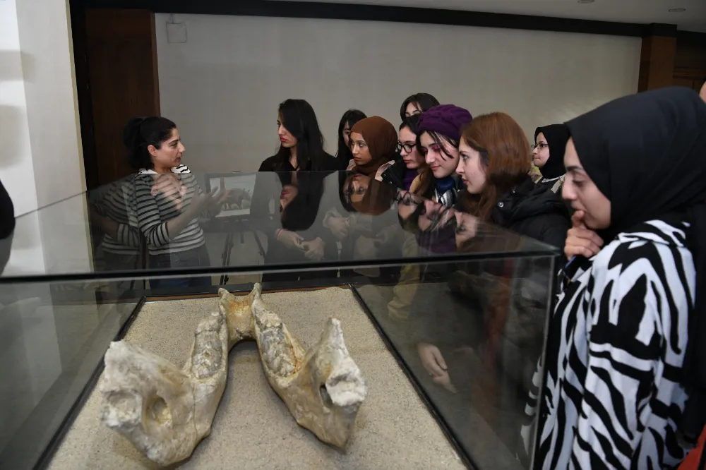 Büyükşehir’in 7,5 milyon fosil sergisine öğrenciler ve vatandaşlardan yoğun ilgi