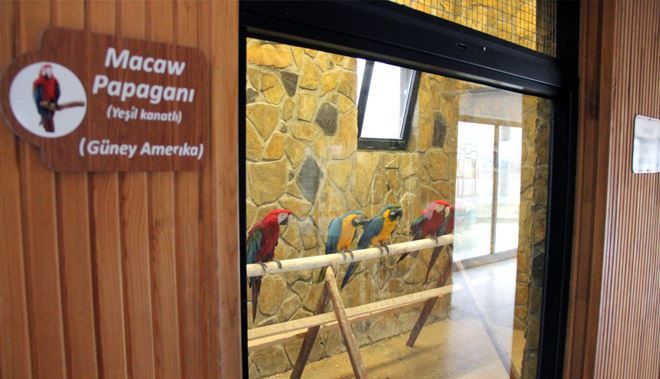 HAYVANAT BAHÇESİ KIŞA HAZIR