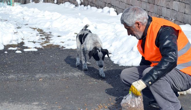 SOKAK HAYVANLARINA VE KUŞLARA