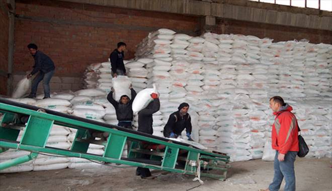 9 Bin Kayseri Şeker çiftçisine pancar ekimi için