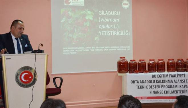 AKKIŞLA KAYMAKAMLIĞI