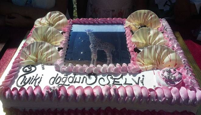 ZÜRAFA YAVRUSU SELVİ 