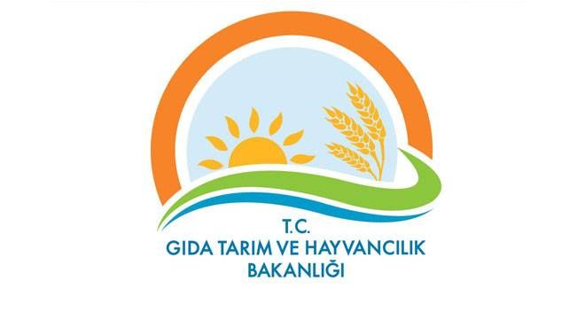 BAKANLIK TAKLİT VE TAĞŞİŞ YAPAN FİRMALARI AÇIKLADI