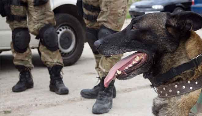 NARKOTİK VE KAÇAKÇILIK DENETİMLERİ