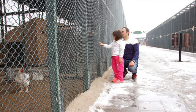 ANADOLU HARİKALAR DİYARI HAYVANAT BAHÇESİNİ