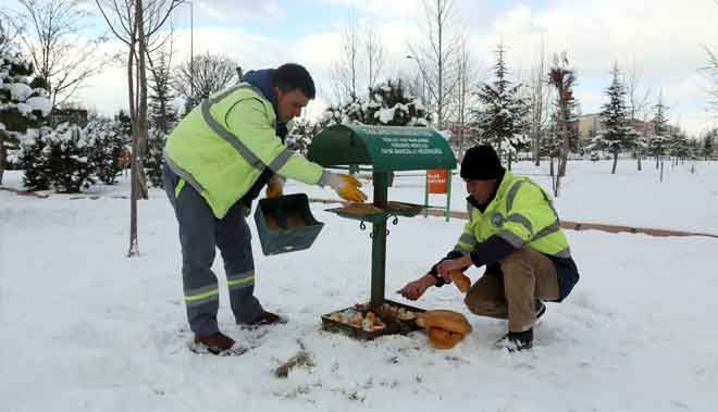 TALAS´TA HAYVAN DOSTLARIMIZ UNUTULMADI