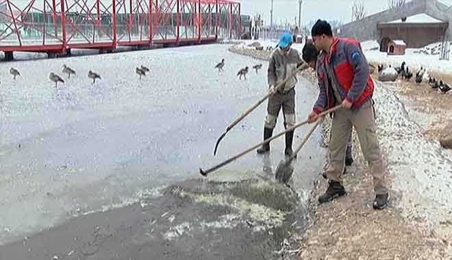HAYVANAT BAHÇESİNDEKİ GÖL BUZ TUTTU