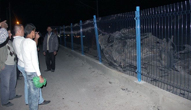 KARDEŞLERİN OTOMOBİL MACERASI FECİ BİTTİ