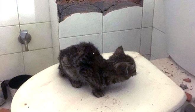 HAVALANDIRMA BOŞLUĞUNA DÜŞEN KEDİ