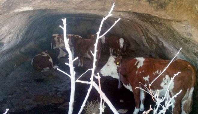 KAYSERİ´DE POLİSİN 