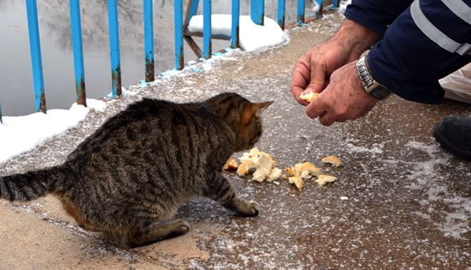 BÜNYAN BELEDİYESİ VE BÜNYAN ESNAFI EL ELE