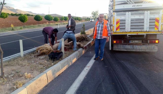 KAMYON SÜRÜYE DALDI,