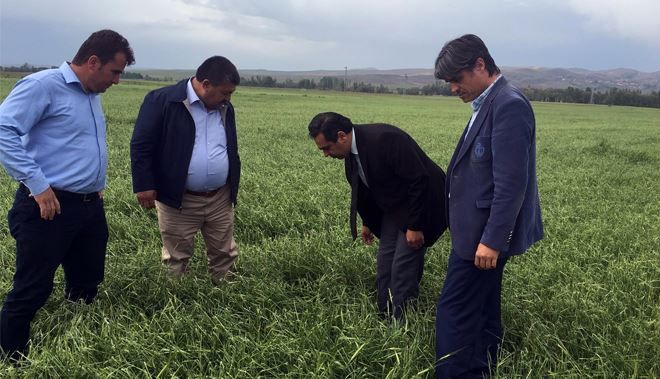 ÇİFTÇİYİ YİNE DOLU VURDU