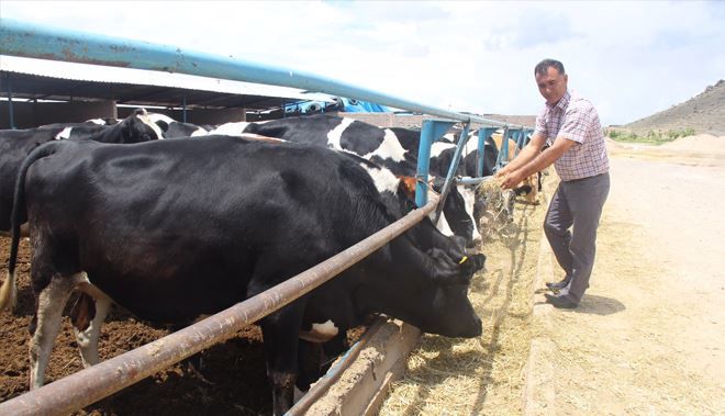 KAYSERİ DAMIZLIK SIĞIR YETİŞTİRİCİLERİ BİRLİĞİ İLE