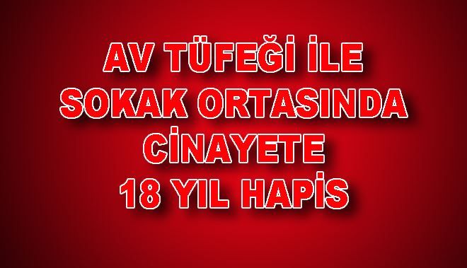 AV TÜFEĞİ İLE SOKAK ORTASINDA CİNAYETE
