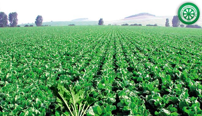 KAYSERİ ŞEKER´DEN