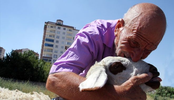 KESMEK İÇİN ALDIĞI KURBANLIKLA