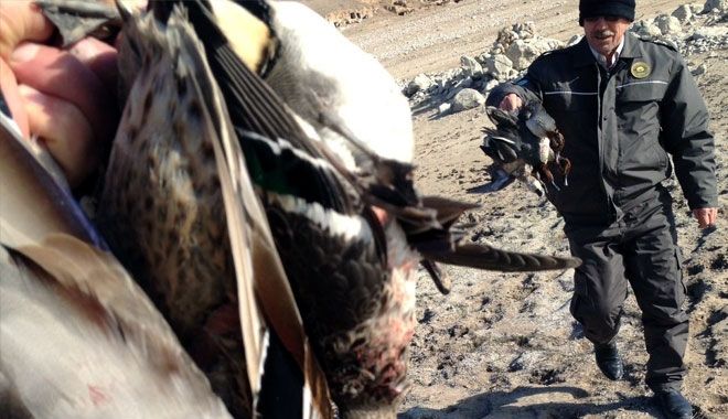 KAÇAK AVCILAR SUÇÜSTÜ YAKALANDI