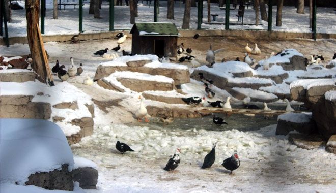 KAYSERİ´DE GÖLLER BUZ TUTTU 