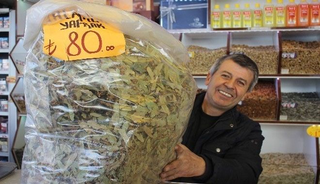 HAVALAR SOĞUDU, IHLAMUR SATIŞLARI ARTTI