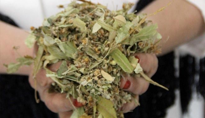 IHLAMUR FİYATLARI ALTINLA YARIŞIYOR