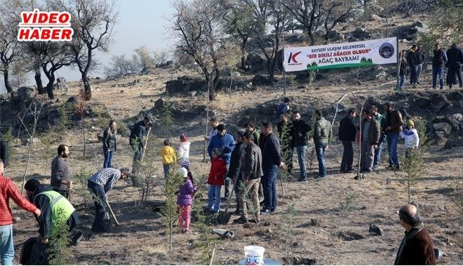 ULAŞIM A.Ş. 500 FİDANI TOPRAKLA BULUŞTURDU