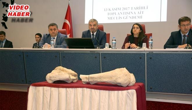 KAYSERİ´DE 10 MİLYON YIL ÖNCE CANLI YAŞAMIŞ