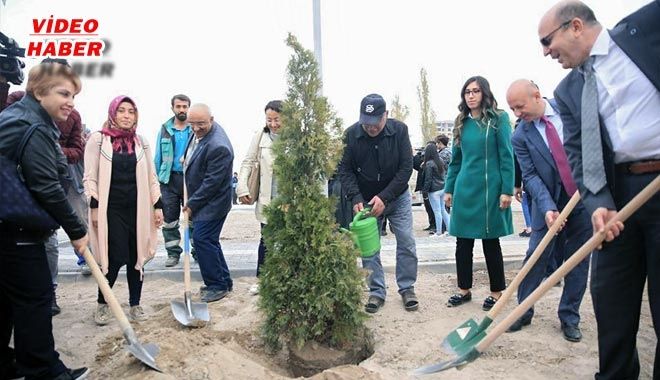 KOCASİNAN, BU SEFER DİYABET FARKINDALIĞI İÇİN AĞAÇ DİKTİ