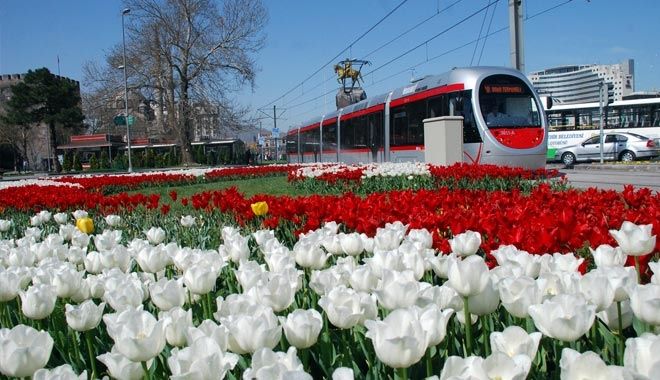 TÜRKİYE´NİN ÇİÇEK BAHÇESİ