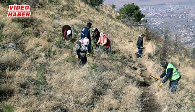 ALİ DAĞI KAYSERİ´NİN AKCİĞERİ OLACAK