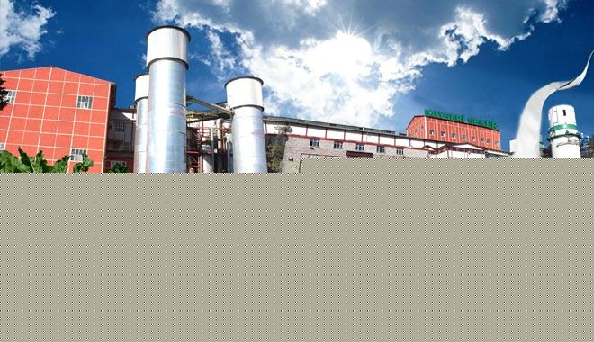 KAYSERİ ŞEKER TÜRKİYE DEVLERİ ARASINDA