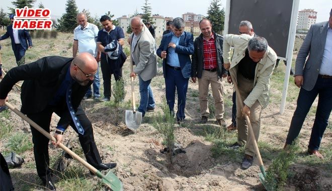 TÜM-İŞ KONFEDERASYONU GENEL BAŞKANI ŞAHİN: 