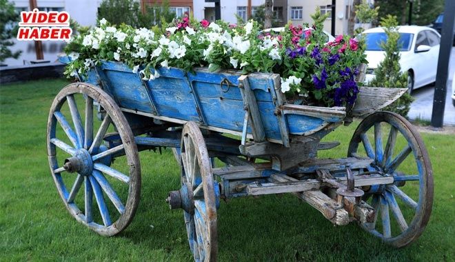 TALAS BELEDİYESİ ÇİÇEKLERLE