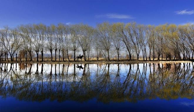 FOTOĞRAF YARIŞMASI SONUÇLANDI
