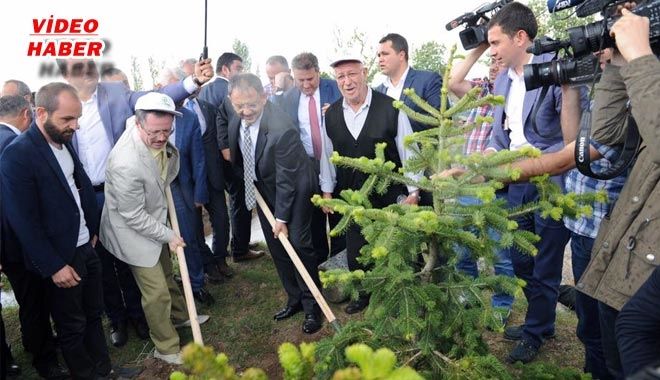 248 ŞEHiDE, 248 BiN FiDAN