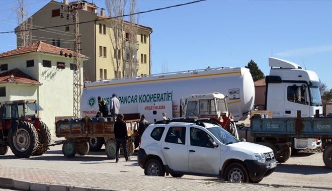 PANCAR ÇİFTÇİSİNE 5 BİN TON MAZOT