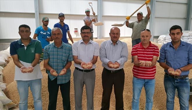 KAYSERİ PANCAR KOOPERATİFİNİN SÖZLEŞMELİ TARIMI