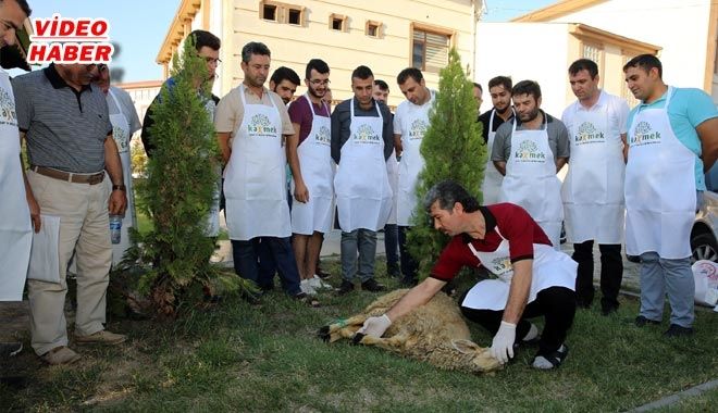 KAYMEK´TEN KURBAN KESİM KURSU