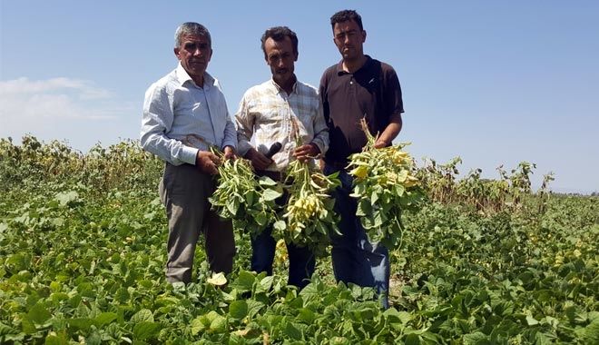 KAYSERİ ŞEKER´İN