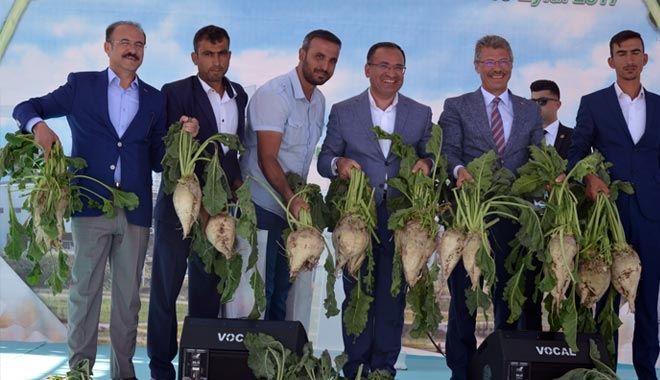 KAYSERİ ŞEKER ÇİFTÇİSİ, 