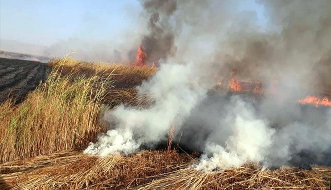 KUŞ CENNETİ´NDE 6 DEKAR SAZLIK ALAN YANDI