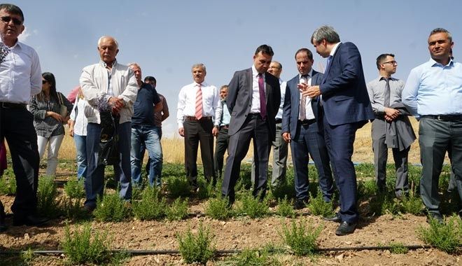 TIBBİ VE AROMATİK BİTKİ BAHÇELERİNİN TANITIMI YAPILDI