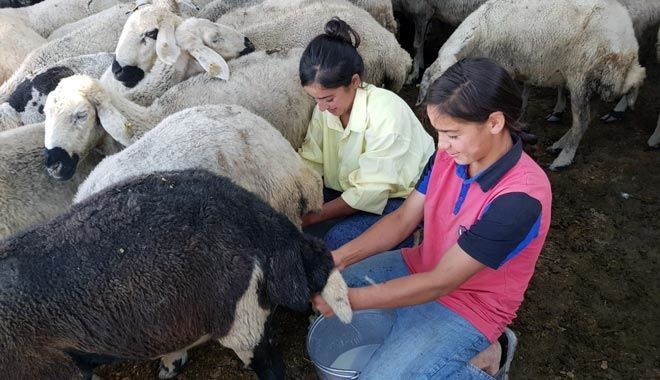 TATİLDE DİNLENMEK YERİNE ÇALIŞTILAR
