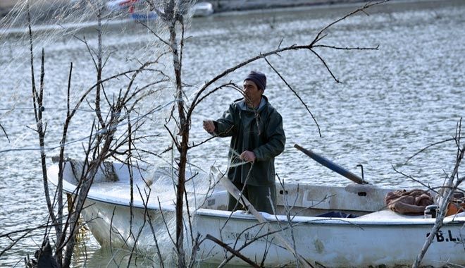 YAMULA´DAKİ ÖLDÜREN MİSİNALARA ARAŞTIRMA