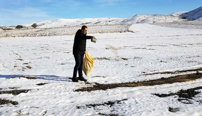 AÇ KALAN KUŞLAR İÇİN 85 KİLOMETRE GİDEREK