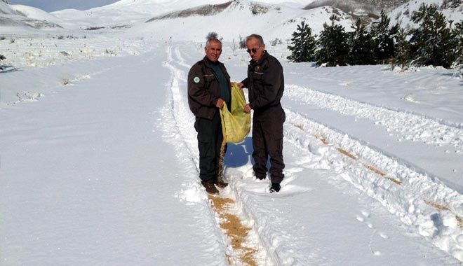 YABAN HAYVANLARINA YEM